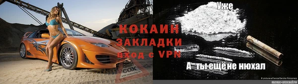 тгк Бородино