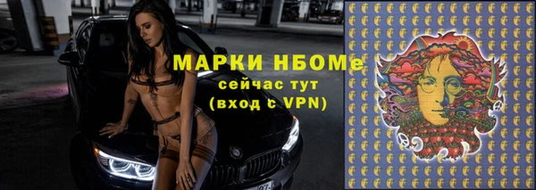 тгк Бородино