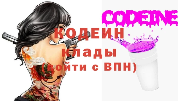 ECSTASY Богданович